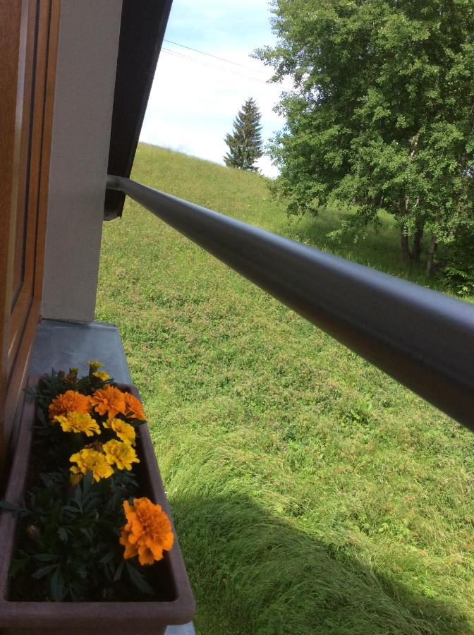 Apartman Odolov Jestrebi Hory Male Svatonovice エクステリア 写真